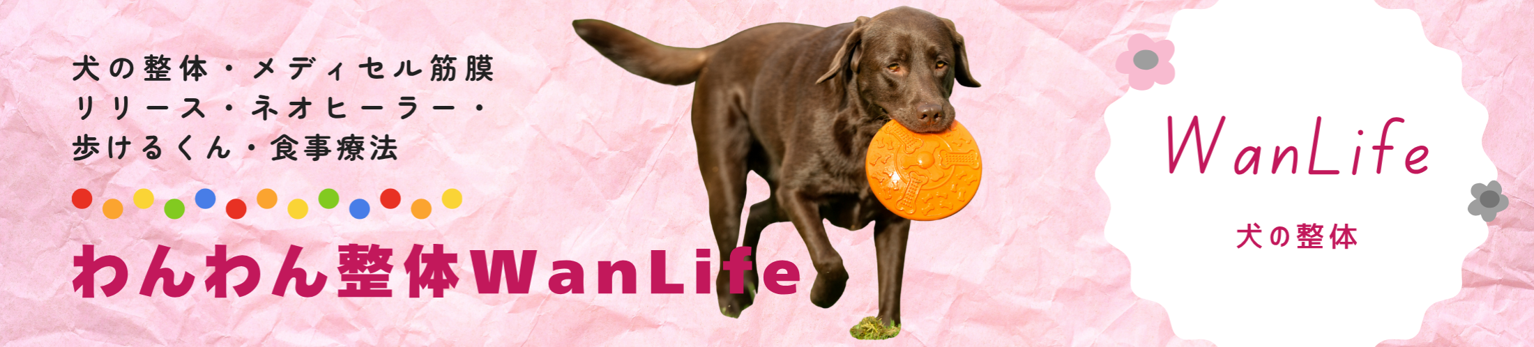 わんわん整体WanLife｜愛知・岐阜の犬の整体・メディセル筋膜リリース・オベロンアニマルスキャン・歩けるくん・ネオヒーラー・温灸・食事療法｜