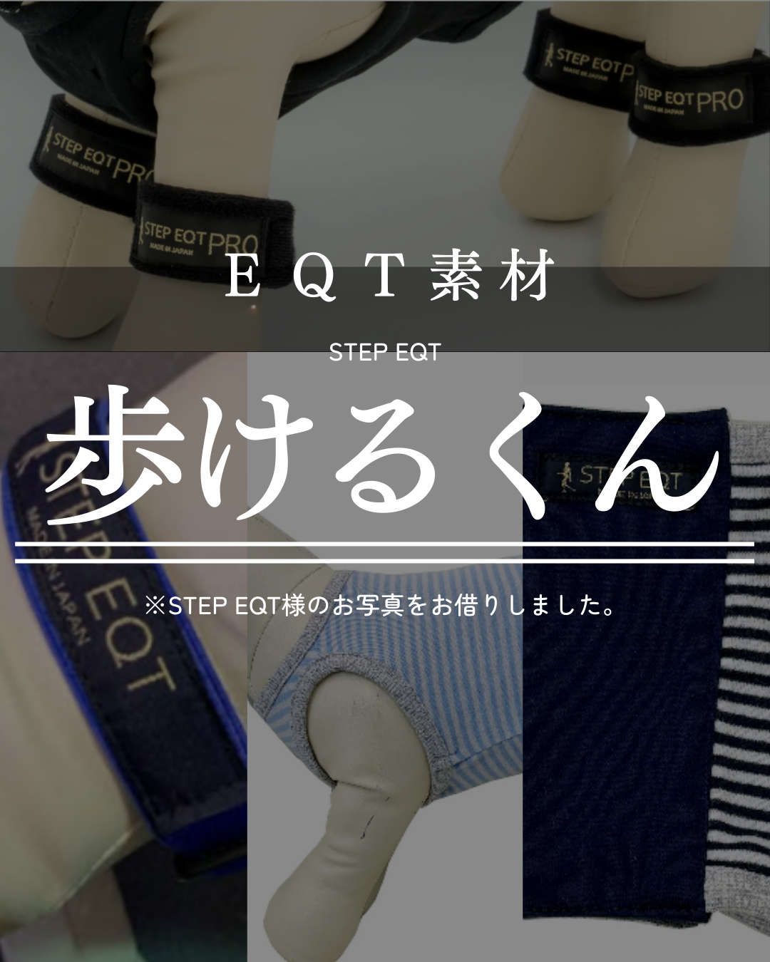 わんわん整体WanLife｜愛知・岐阜の犬の整体・メディセル筋膜リリース・オベロンアニマルスキャン・ネオヒーラー・温灸・食事療法｜