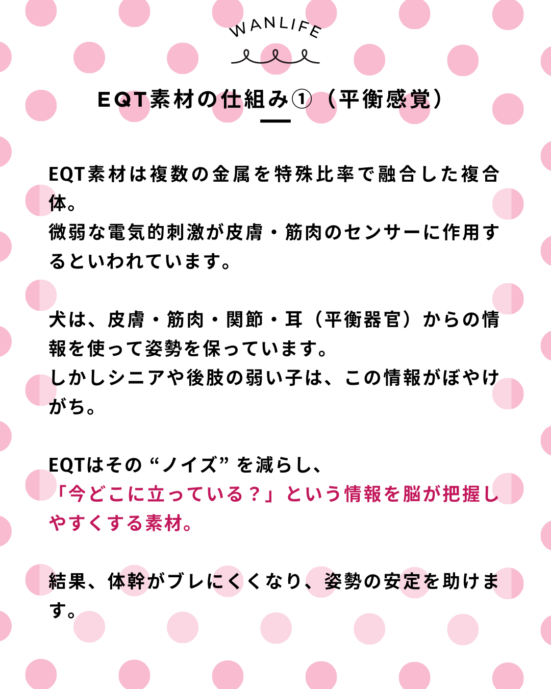 わんわん整体WanLife｜愛知・岐阜の犬の整体・メディセル筋膜リリース・オベロンアニマルスキャン・ネオヒーラー・温灸・食事療法｜