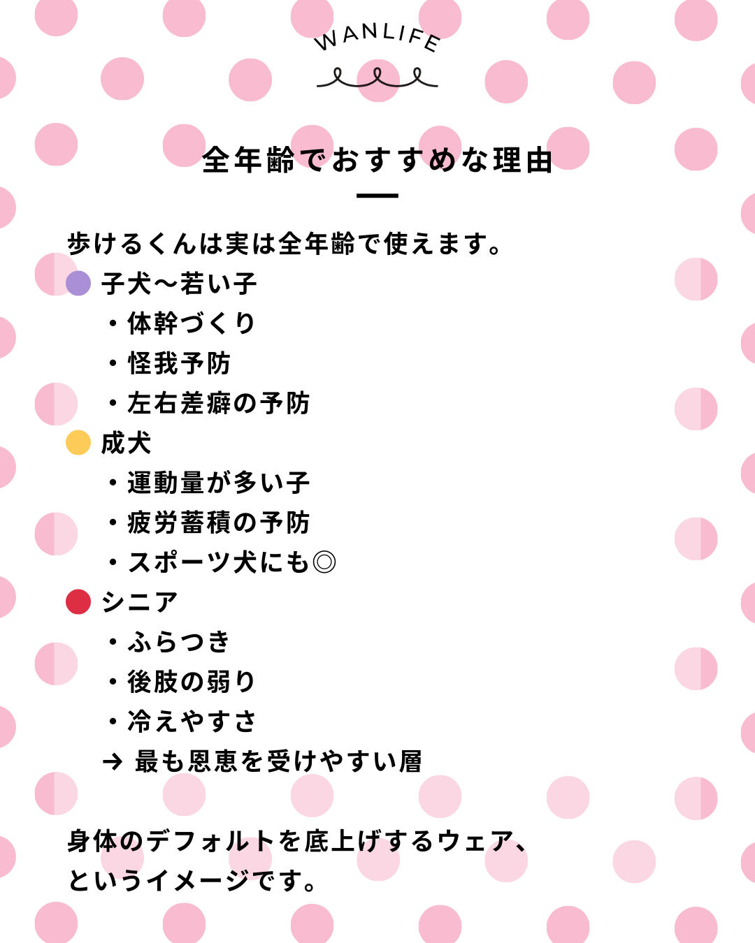わんわん整体WanLife｜愛知・岐阜の犬の整体・メディセル筋膜リリース・オベロンアニマルスキャン・ネオヒーラー・温灸・食事療法｜