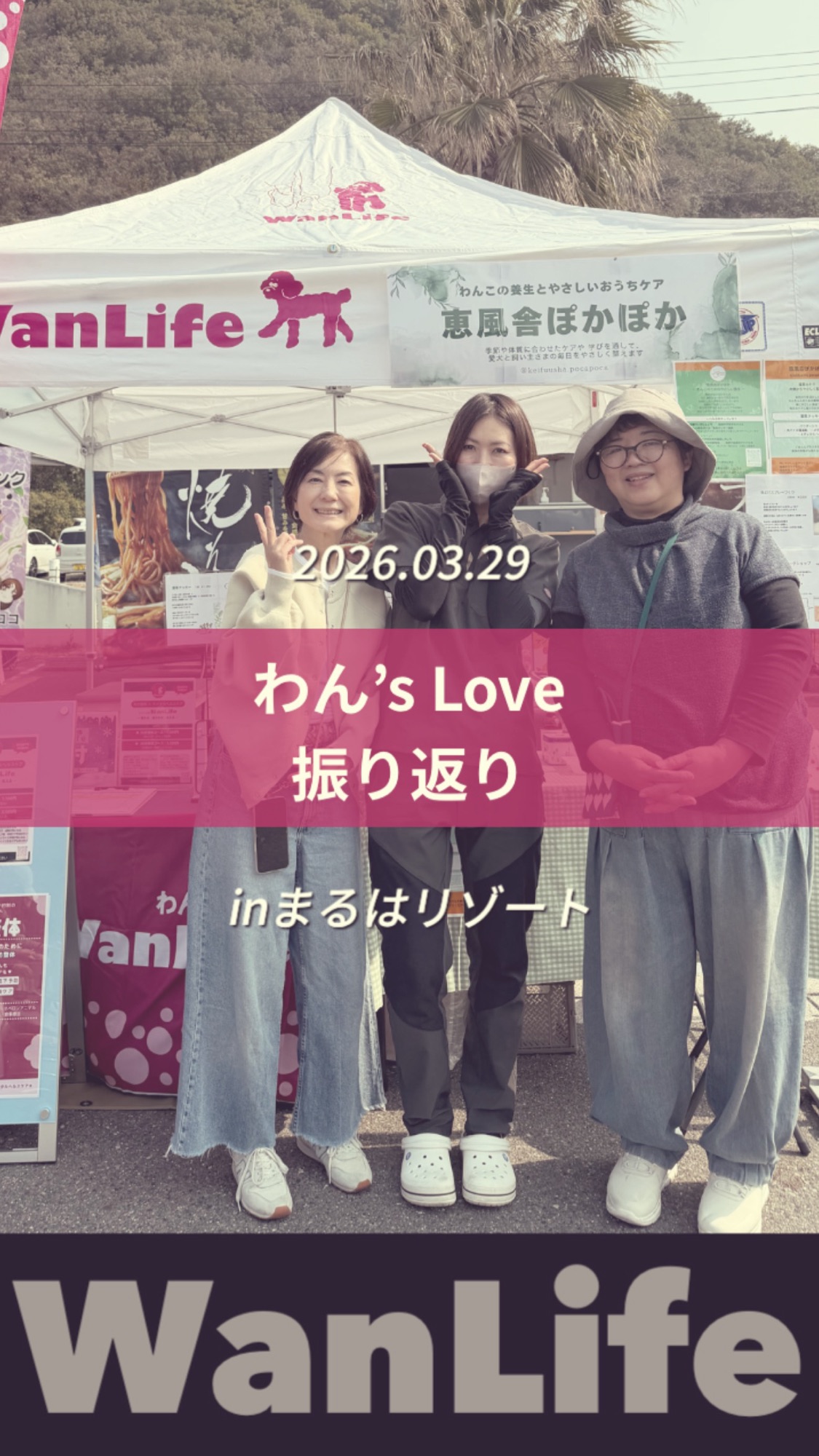 わんわん整体WanLife｜愛知・岐阜の犬の整体・メディセル筋膜リリース・オベロンアニマルスキャン・ネオヒーラー・温灸・食事療法｜