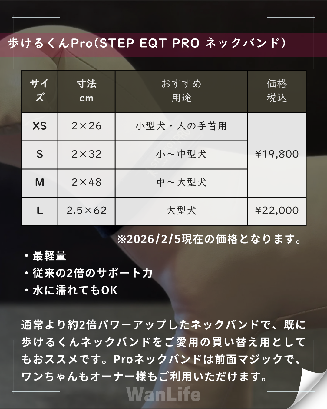 わんわん整体WanLife｜愛知・岐阜の犬の整体・メディセル筋膜リリース・オベロンアニマルスキャン・歩けるくん・ネオヒーラー・温灸・食事療法｜