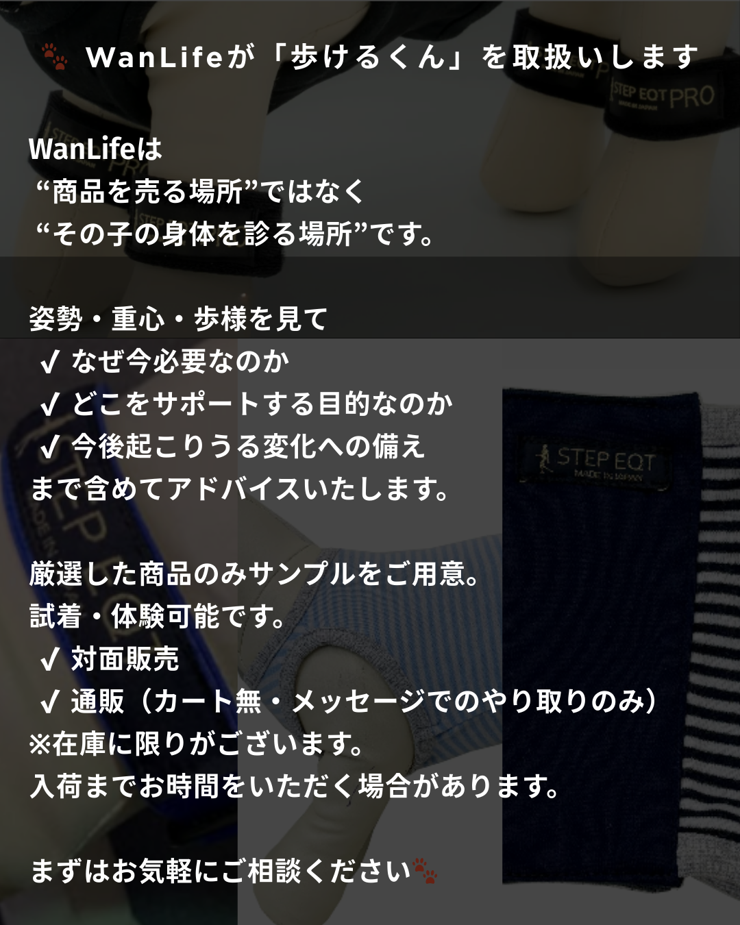 わんわん整体WanLife｜愛知・岐阜の犬の整体・メディセル筋膜リリース・オベロンアニマルスキャン・ネオヒーラー・温灸・食事療法｜