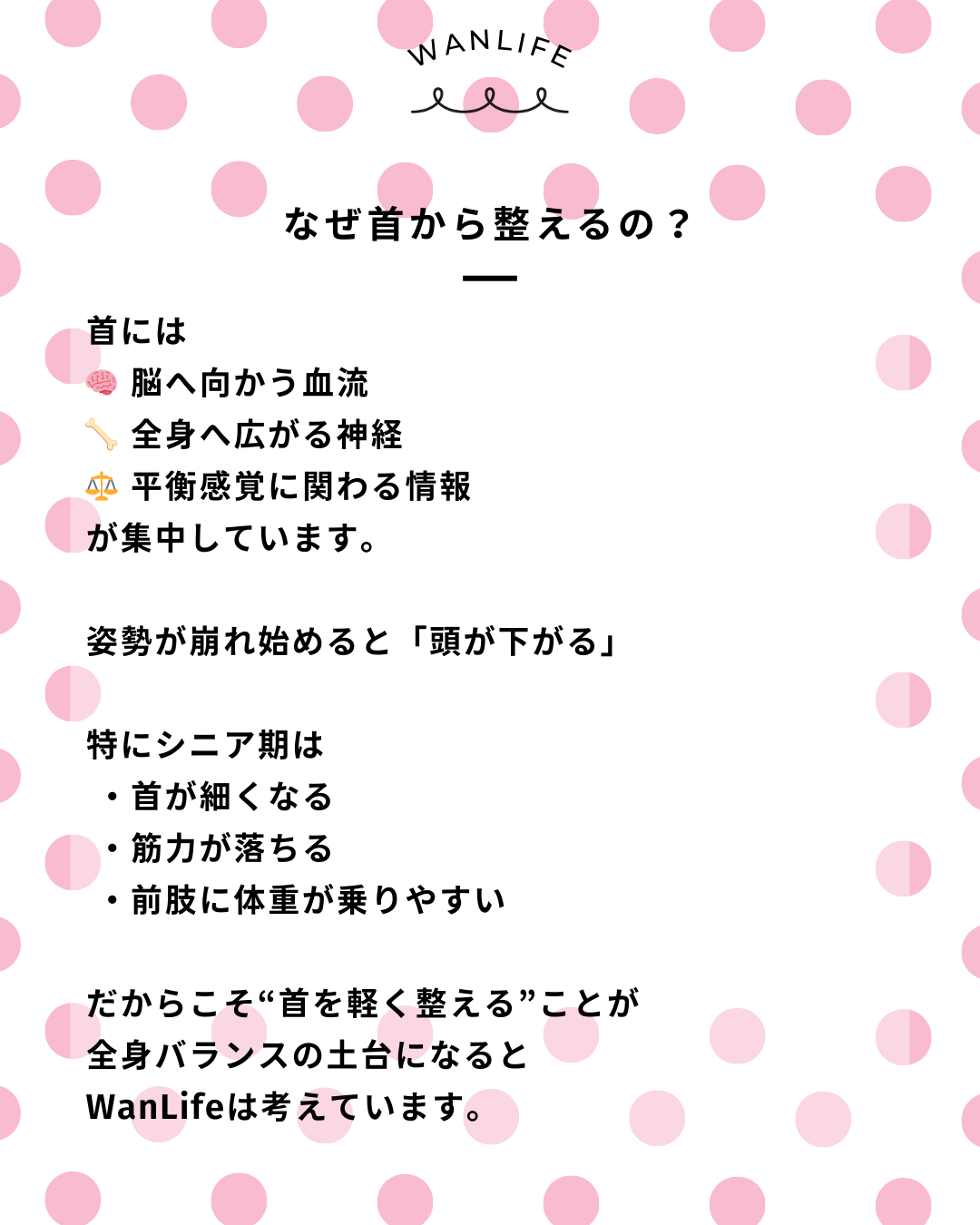 わんわん整体WanLife｜愛知・岐阜の犬の整体・メディセル筋膜リリース・オベロンアニマルスキャン・歩けるくん・ネオヒーラー・温灸・食事療法｜