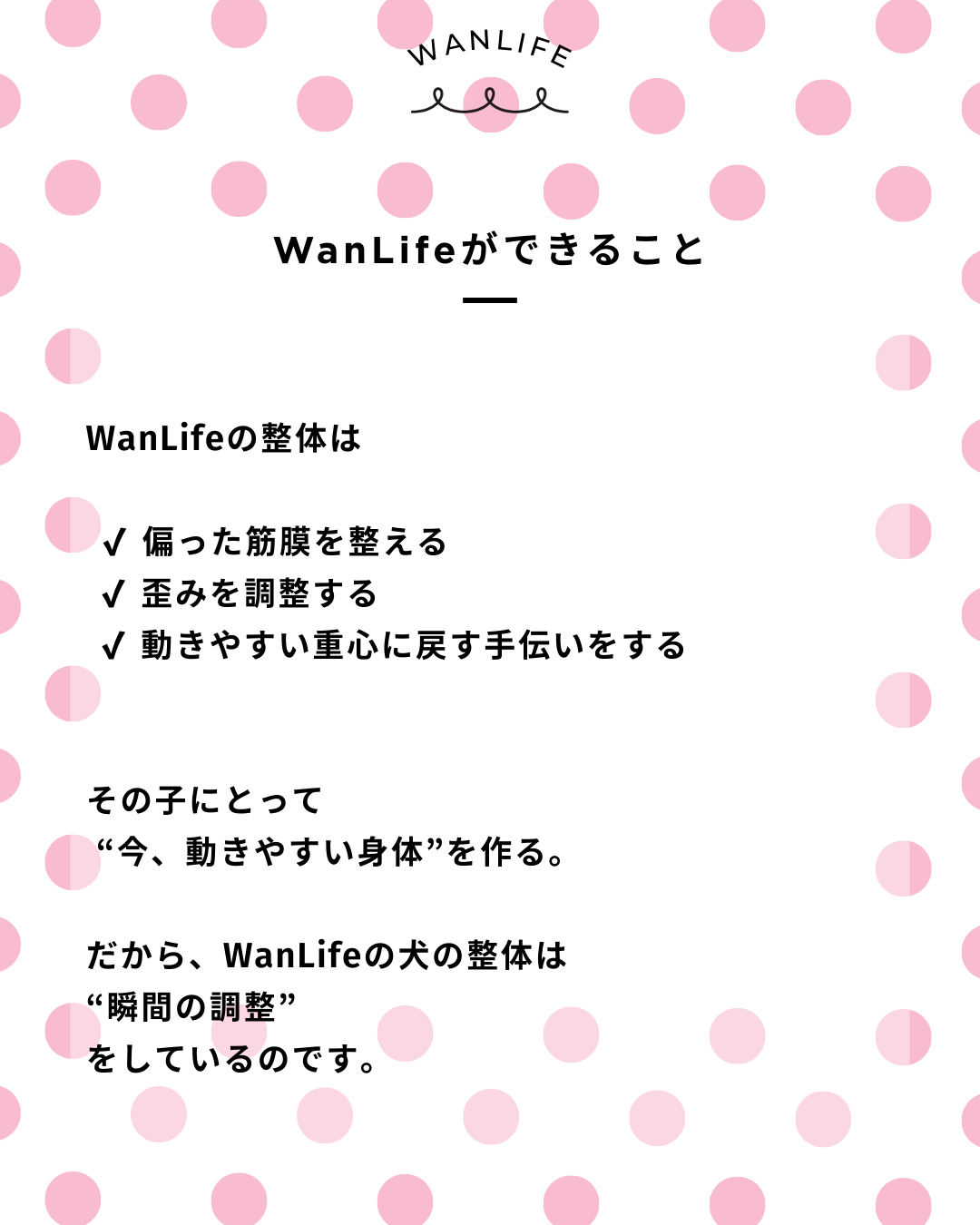 わんわん整体WanLife｜愛知・岐阜の犬の整体・メディセル筋膜リリース・オベロンアニマルスキャン・ネオヒーラー・温灸・食事療法｜
