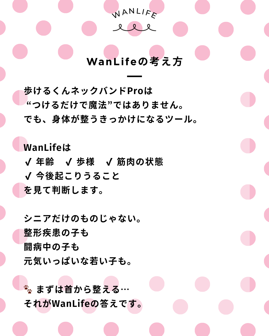 わんわん整体WanLife｜愛知・岐阜の犬の整体・メディセル筋膜リリース・オベロンアニマルスキャン・歩けるくん・ネオヒーラー・温灸・食事療法｜