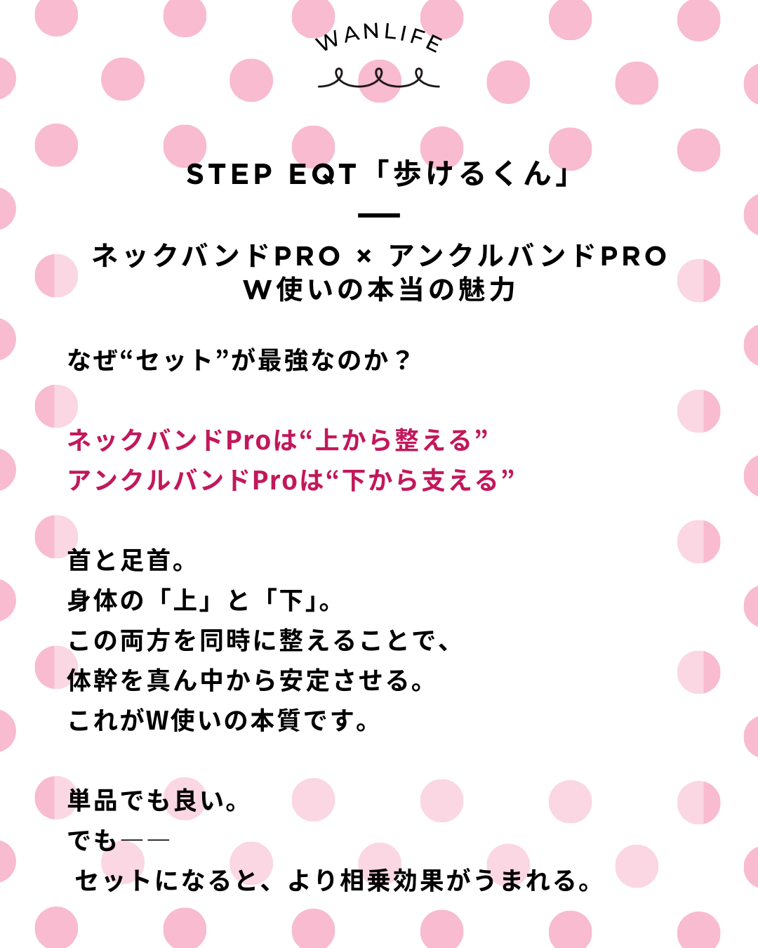 わんわん整体WanLife｜愛知・岐阜の犬の整体・メディセル筋膜リリース・オベロンアニマルスキャン・歩けるくん・ネオヒーラー・温灸・食事療法｜