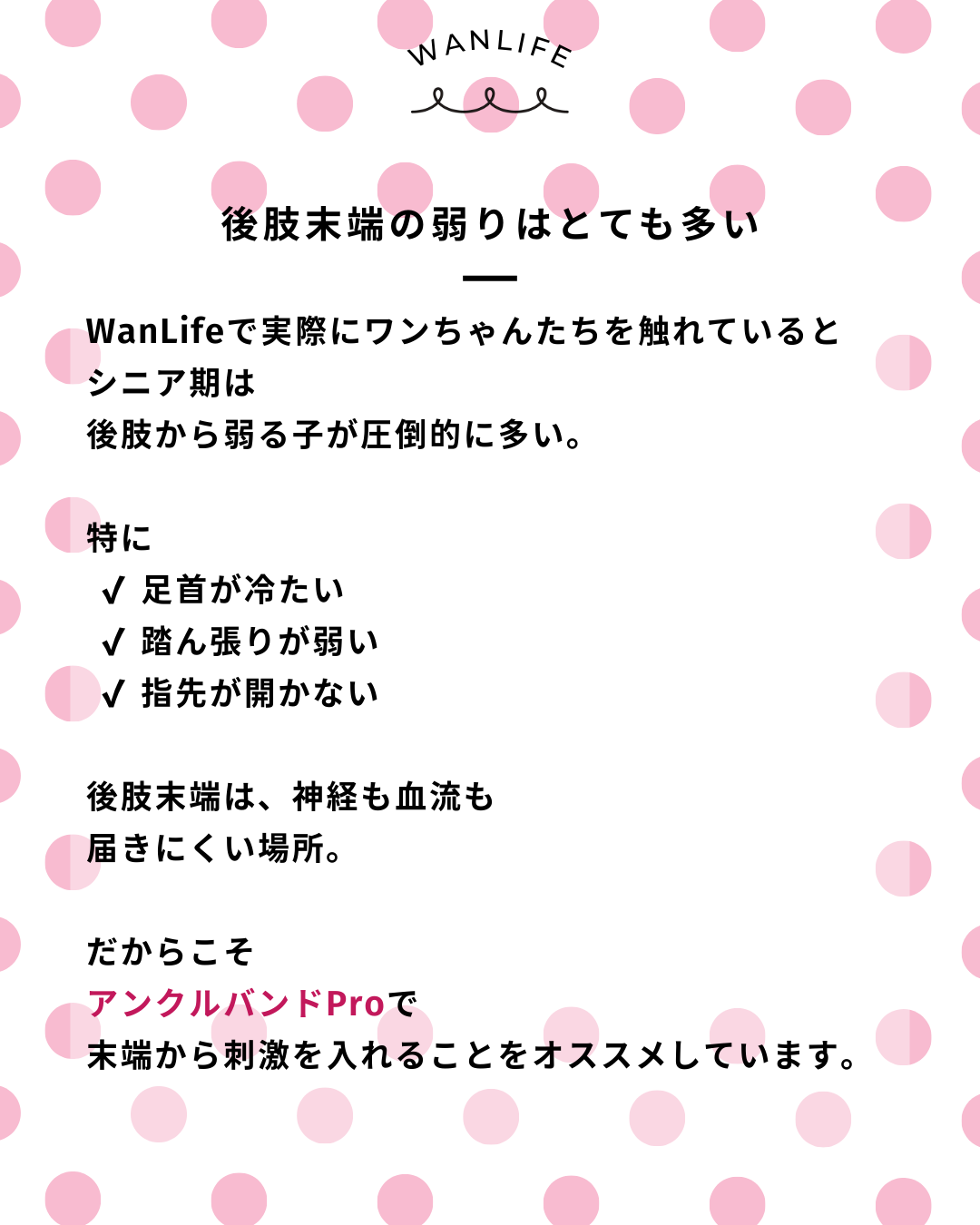 わんわん整体WanLife｜愛知・岐阜の犬の整体・メディセル筋膜リリース・オベロンアニマルスキャン・歩けるくん・ネオヒーラー・温灸・食事療法｜