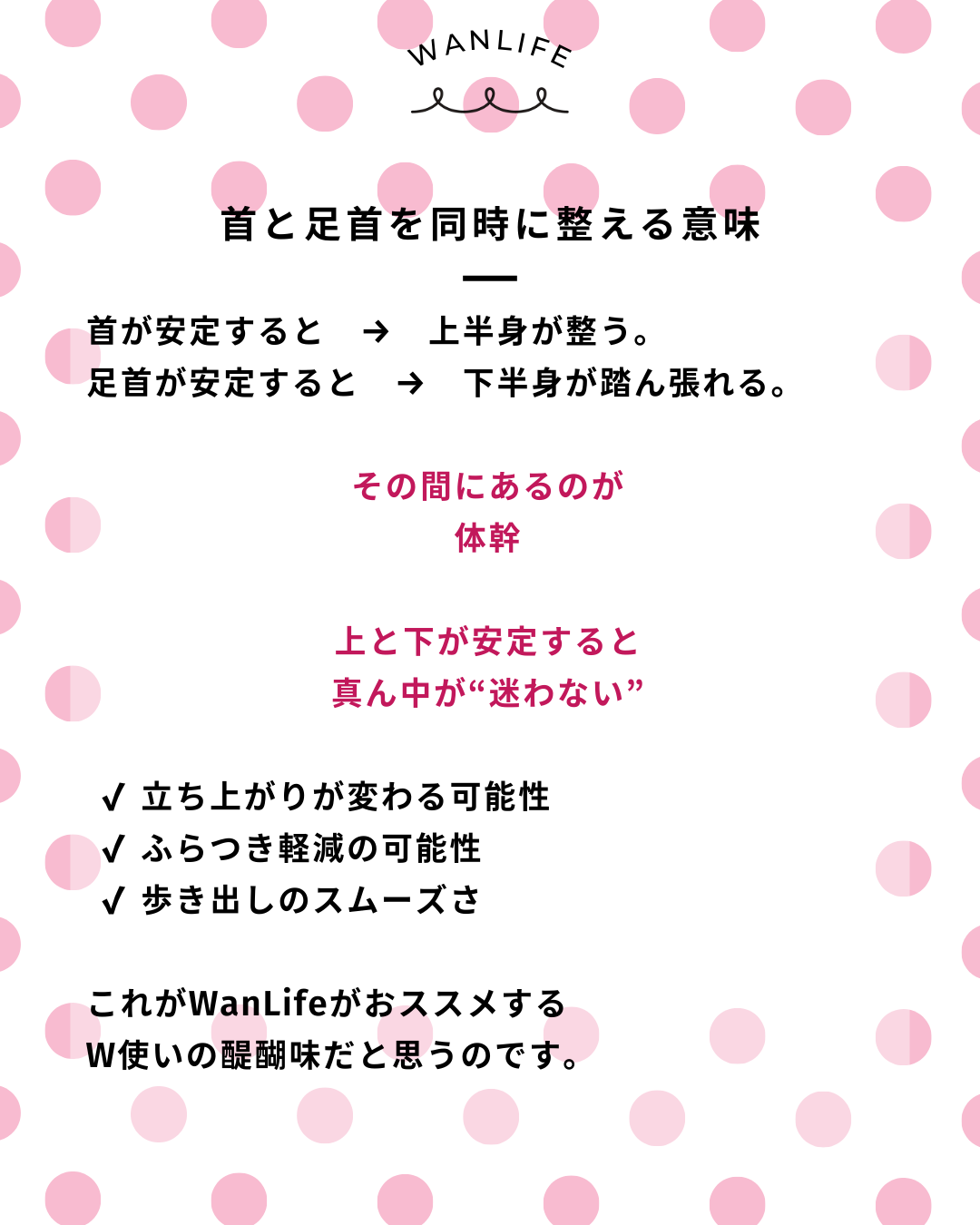 わんわん整体WanLife｜愛知・岐阜の犬の整体・メディセル筋膜リリース・オベロンアニマルスキャン・歩けるくん・ネオヒーラー・温灸・食事療法｜