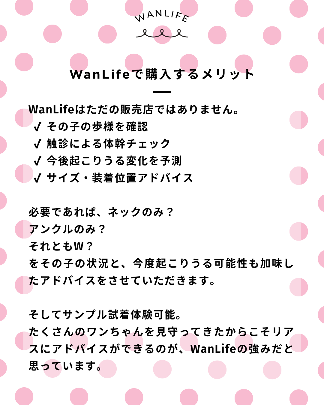 わんわん整体WanLife｜愛知・岐阜の犬の整体・メディセル筋膜リリース・オベロンアニマルスキャン・歩けるくん・ネオヒーラー・温灸・食事療法｜