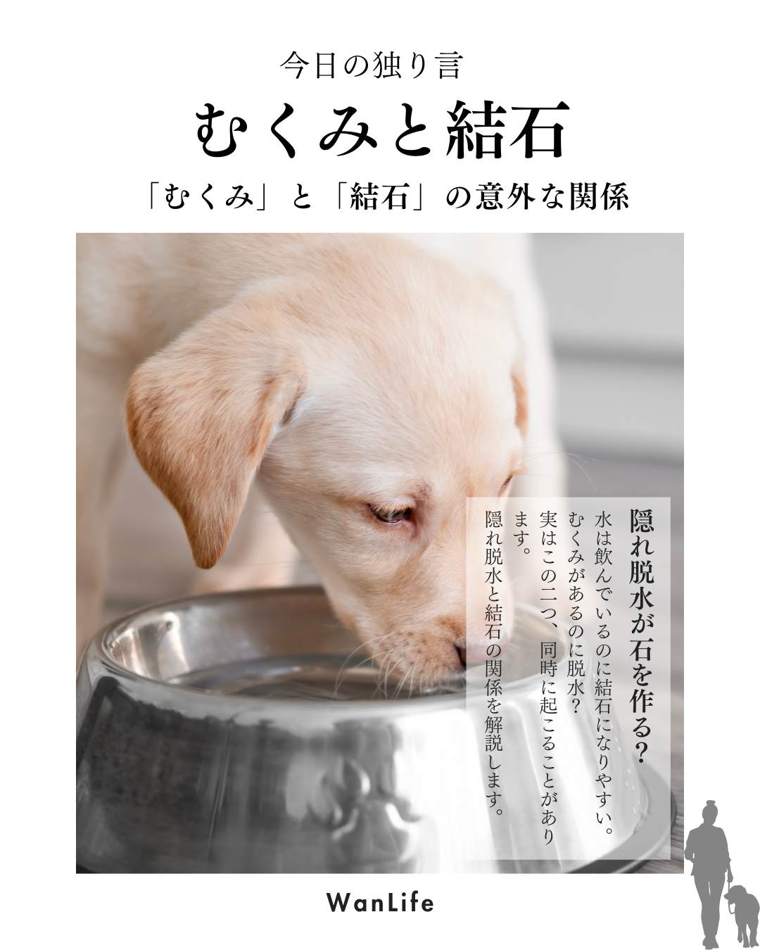 わんわん整体WanLife｜愛知・岐阜の犬の整体・メディセル筋膜リリース・オベロンアニマルスキャン・ネオヒーラー・温灸・食事療法・歩けるくん｜