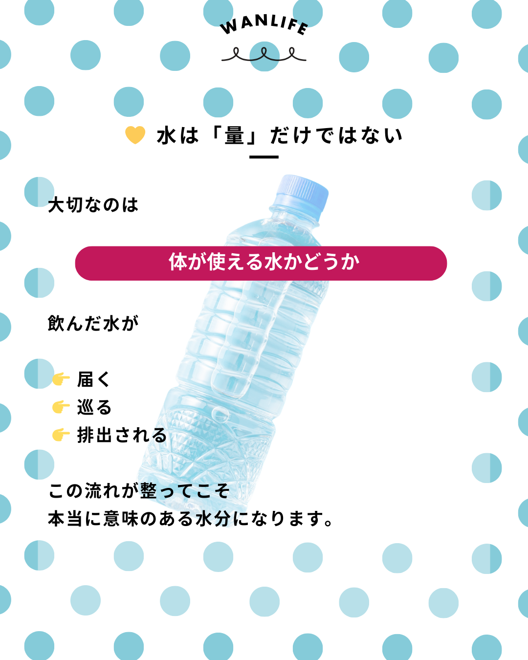わんわん整体WanLife｜愛知・岐阜の犬の整体・メディセル筋膜リリース・オベロンアニマルスキャン・ネオヒーラー・温灸・食事療法・歩けるくん｜