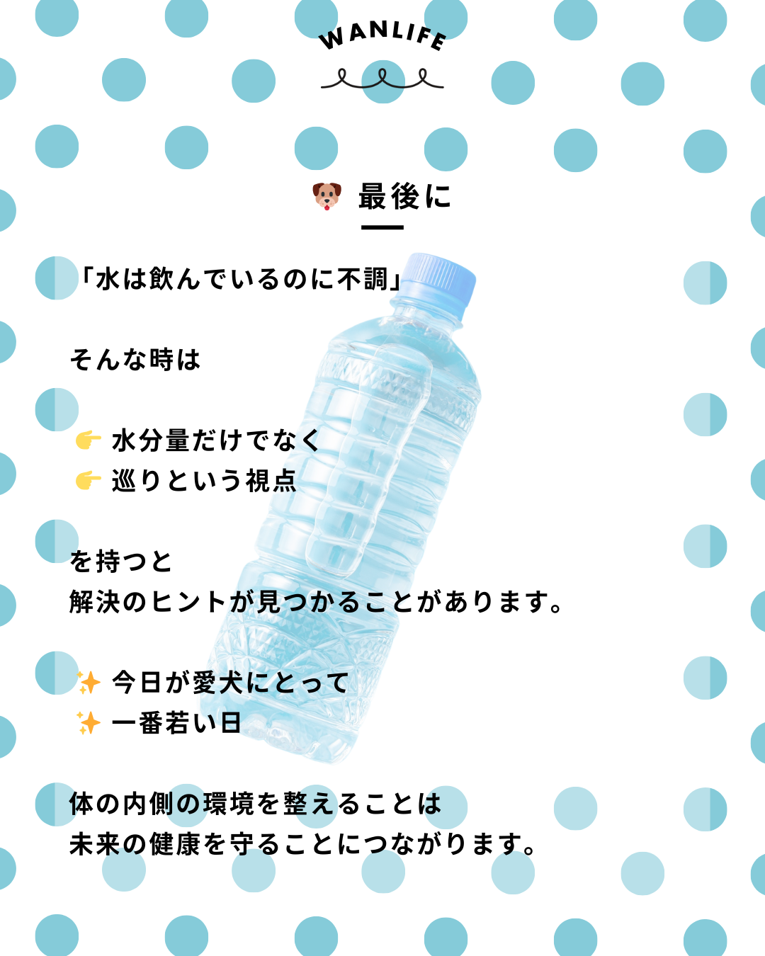 わんわん整体WanLife｜愛知・岐阜の犬の整体・メディセル筋膜リリース・オベロンアニマルスキャン・ネオヒーラー・温灸・食事療法・歩けるくん｜