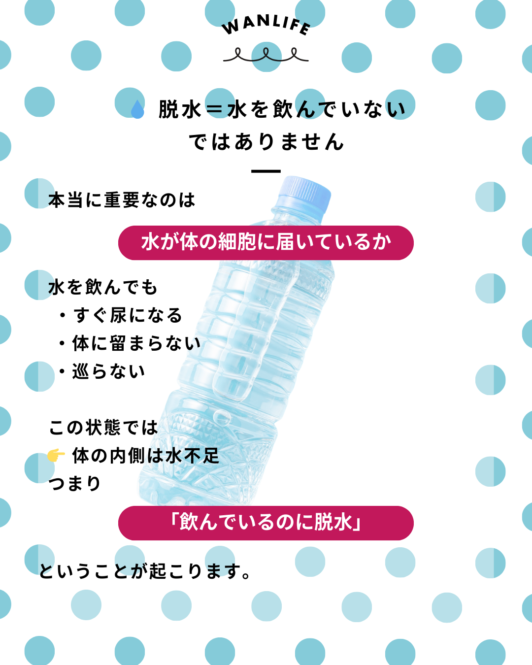 わんわん整体WanLife｜愛知・岐阜の犬の整体・メディセル筋膜リリース・オベロンアニマルスキャン・ネオヒーラー・温灸・食事療法・歩けるくん｜