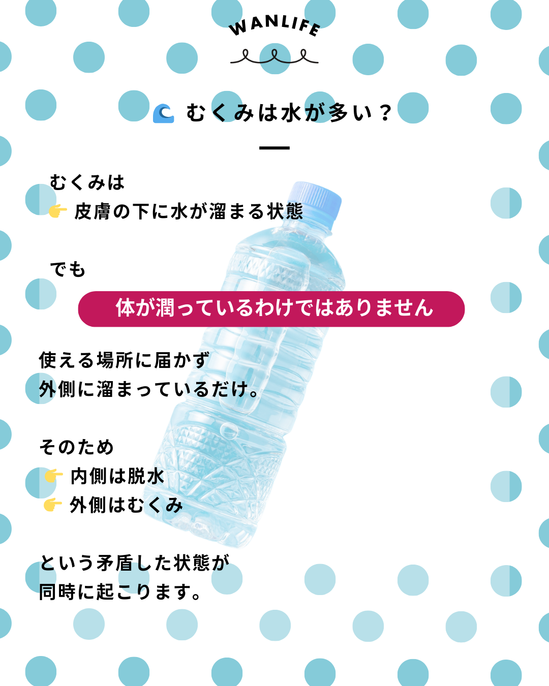 わんわん整体WanLife｜愛知・岐阜の犬の整体・メディセル筋膜リリース・オベロンアニマルスキャン・ネオヒーラー・温灸・食事療法・歩けるくん｜