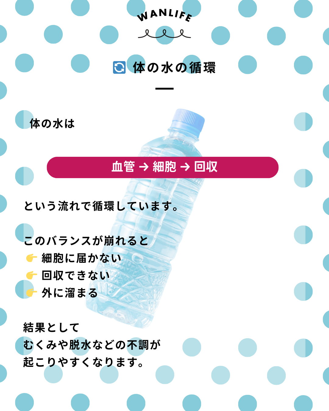 わんわん整体WanLife｜愛知・岐阜の犬の整体・メディセル筋膜リリース・オベロンアニマルスキャン・ネオヒーラー・温灸・食事療法・歩けるくん｜