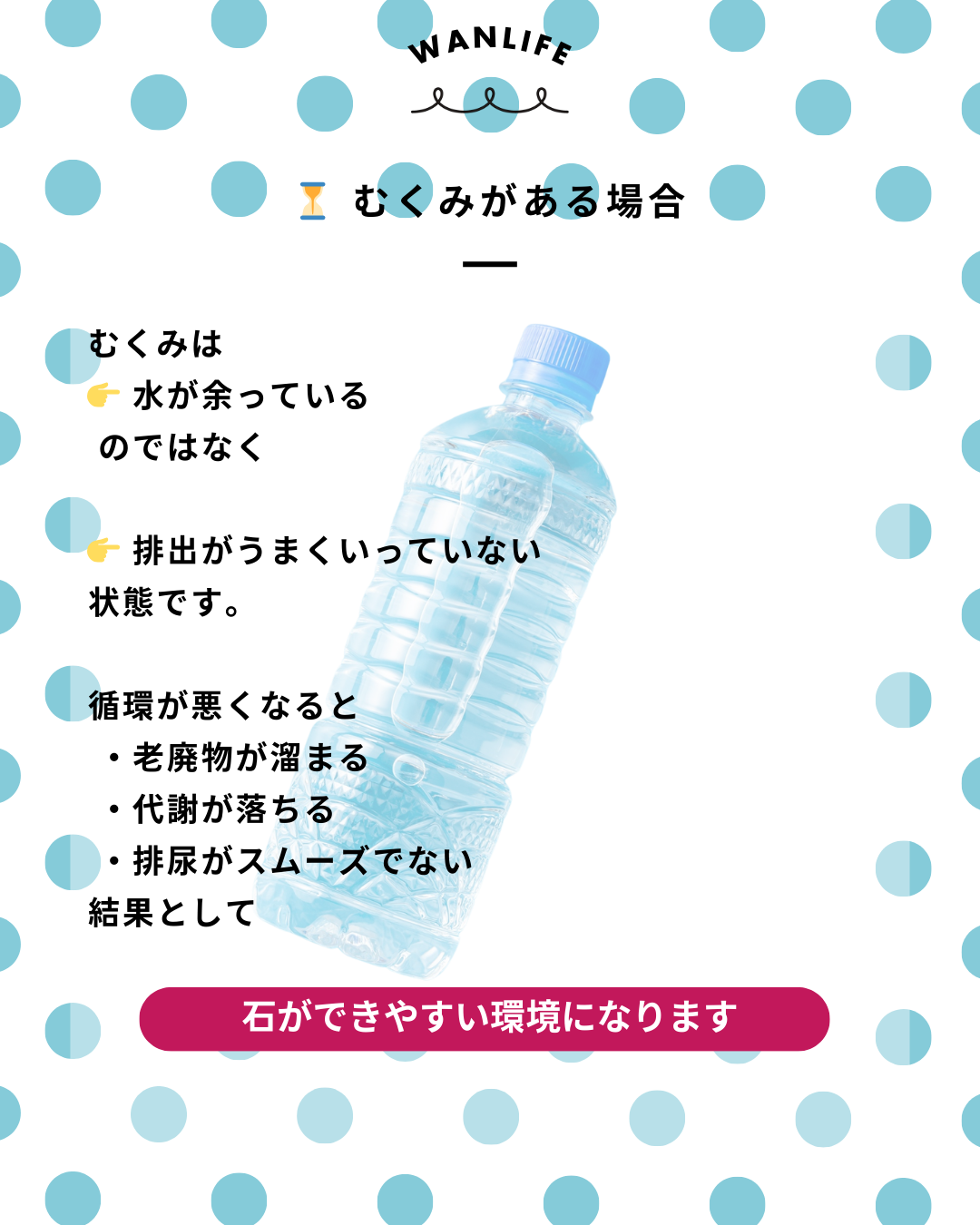 わんわん整体WanLife｜愛知・岐阜の犬の整体・メディセル筋膜リリース・オベロンアニマルスキャン・ネオヒーラー・温灸・食事療法・歩けるくん｜