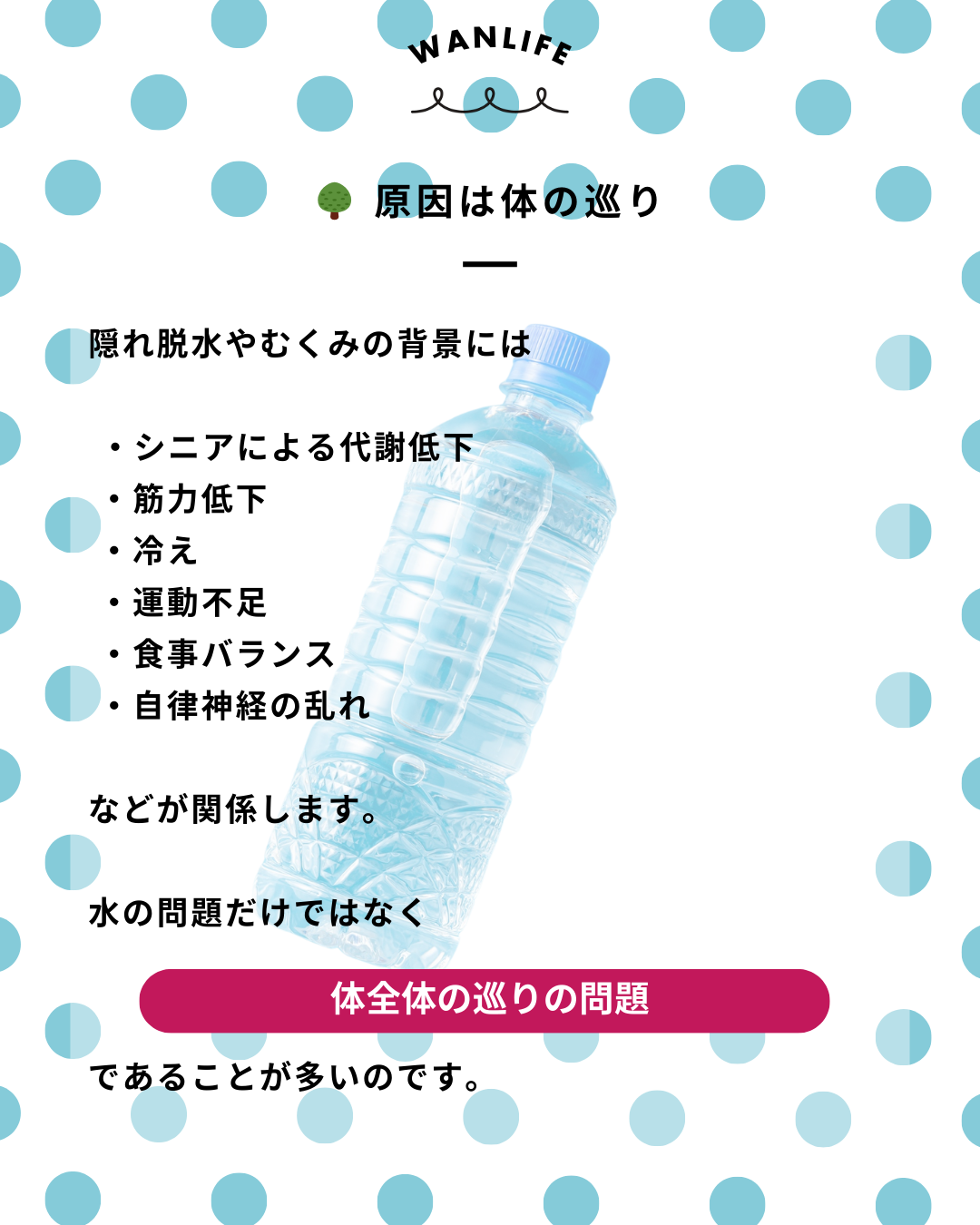 わんわん整体WanLife｜愛知・岐阜の犬の整体・メディセル筋膜リリース・オベロンアニマルスキャン・ネオヒーラー・温灸・食事療法・歩けるくん｜