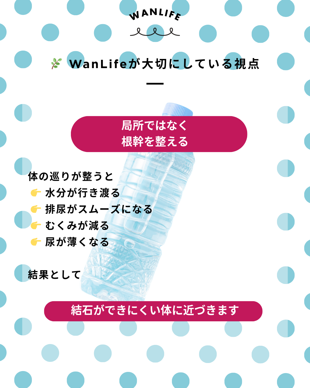 わんわん整体WanLife｜愛知・岐阜の犬の整体・メディセル筋膜リリース・オベロンアニマルスキャン・ネオヒーラー・温灸・食事療法・歩けるくん｜