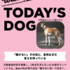 わんわん整体WanLife｜愛知・岐阜の犬の整体・メディセル筋膜リリース・歩けるくん・オベロンアニマルスキャン・ネオヒーラー・温灸・食事療法｜