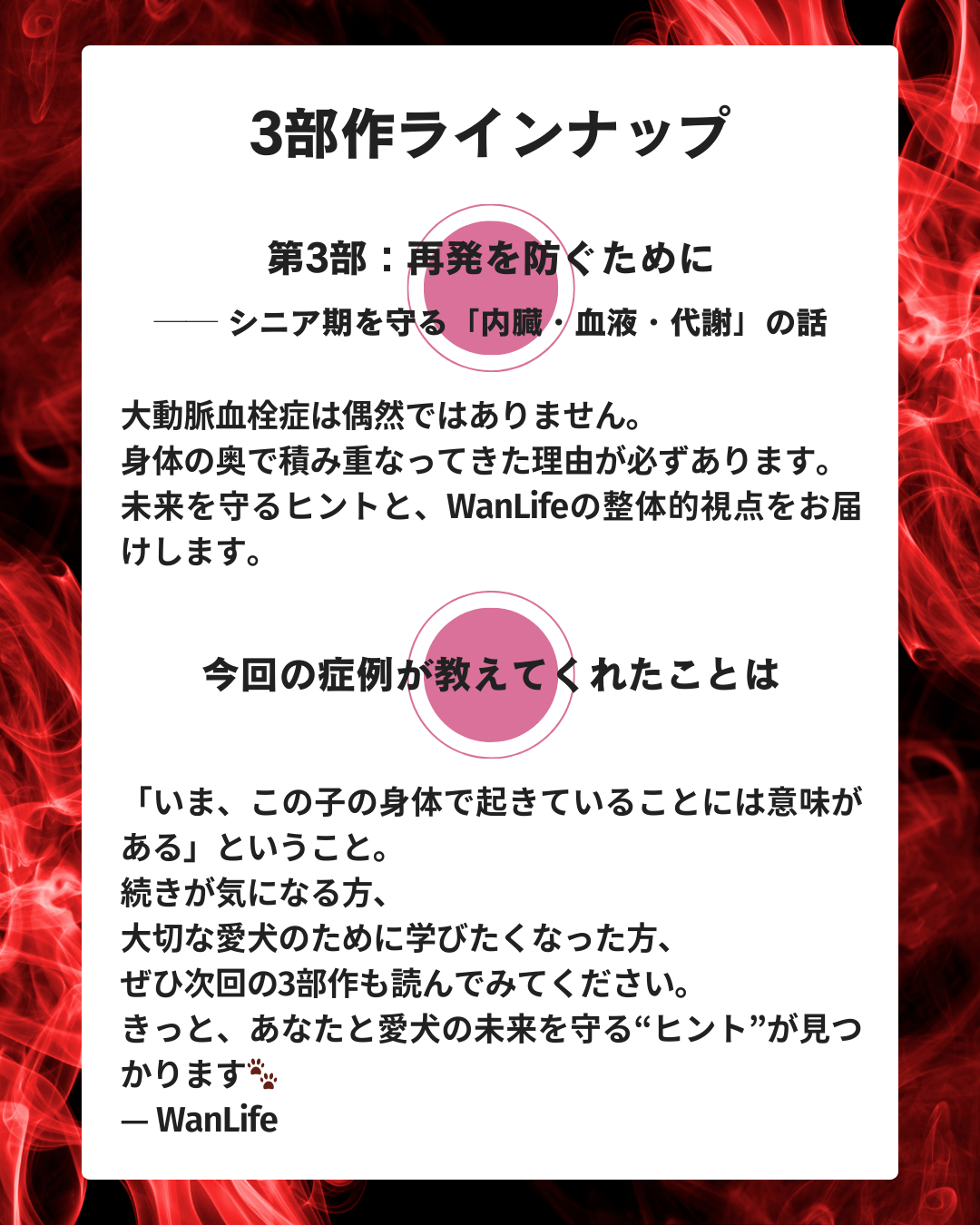 わんわん整体WanLife|愛知・岐阜の犬の整体・メディセル筋膜リリース・歩けるくん・オベロンアニマルスキャン・ネオヒーラー・温灸・食事療法|