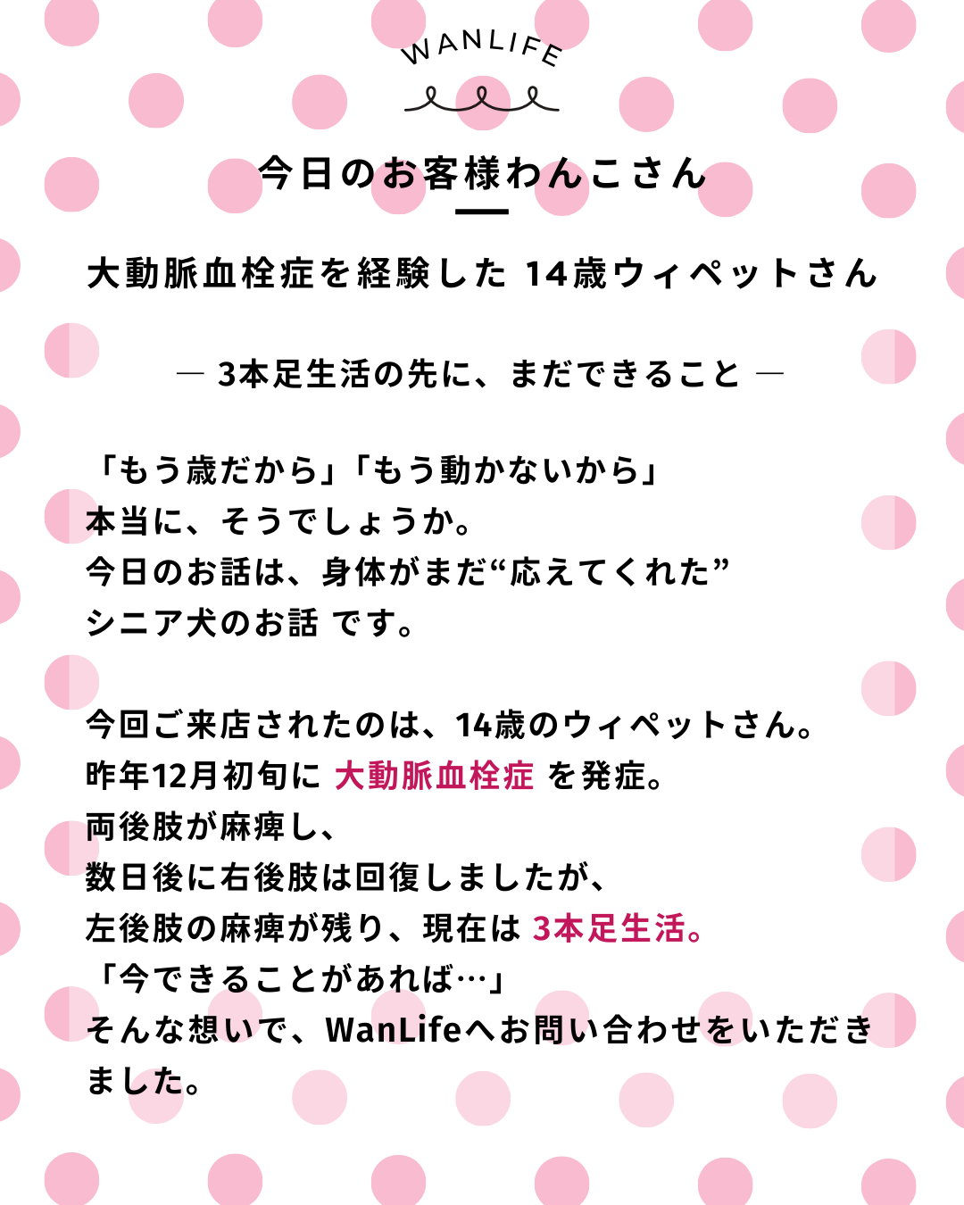 わんわん整体WanLife|愛知・岐阜の犬の整体・メディセル筋膜リリース・歩けるくん・オベロンアニマルスキャン・ネオヒーラー・温灸・食事療法|