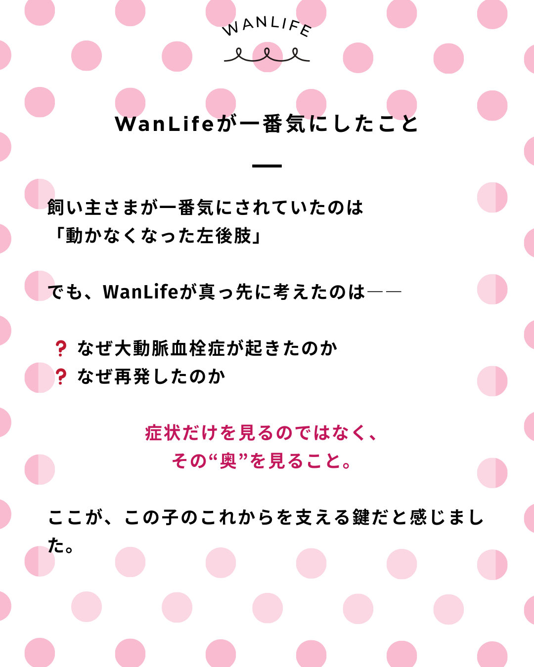 わんわん整体WanLife|愛知・岐阜の犬の整体・メディセル筋膜リリース・歩けるくん・オベロンアニマルスキャン・ネオヒーラー・温灸・食事療法|