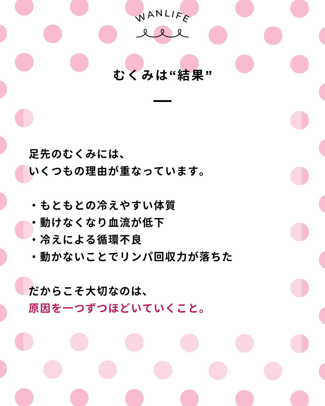 わんわん整体WanLife|愛知・岐阜の犬の整体・メディセル筋膜リリース・歩けるくん・オベロンアニマルスキャン・ネオヒーラー・温灸・食事療法|