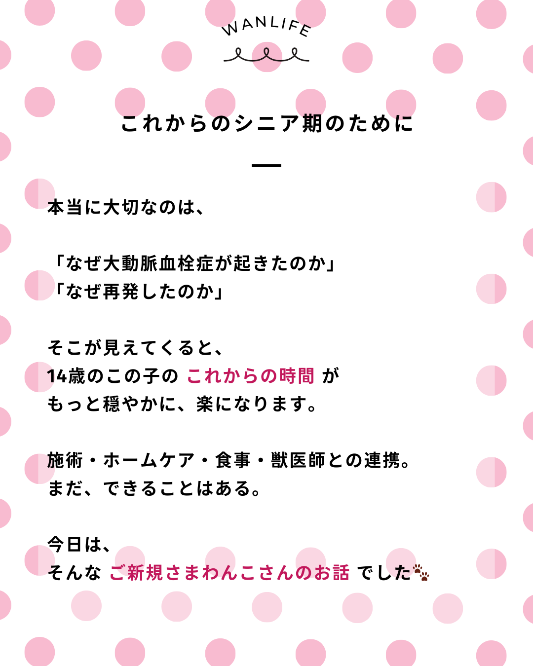 わんわん整体WanLife|愛知・岐阜の犬の整体・メディセル筋膜リリース・歩けるくん・オベロンアニマルスキャン・ネオヒーラー・温灸・食事療法|