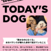 わんわん整体WanLife｜愛知・岐阜の犬の整体・メディセル筋膜リリース・歩けるくん・オベロンアニマルスキャン・ネオヒーラー・温灸・食事療法｜