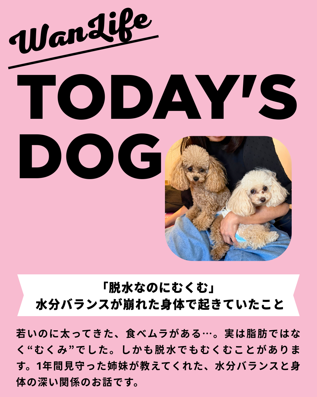 わんわん整体WanLife｜愛知・岐阜の犬の整体・メディセル筋膜リリース・歩けるくん・オベロンアニマルスキャン・ネオヒーラー・温灸・食事療法｜
