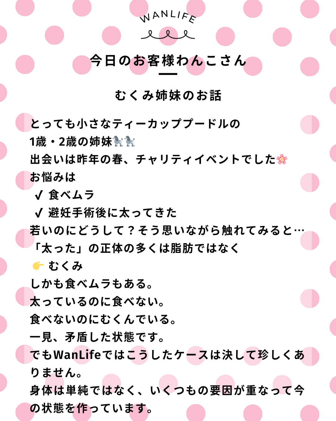 わんわん整体WanLife｜愛知・岐阜の犬の整体・メディセル筋膜リリース・歩けるくん・オベロンアニマルスキャン・ネオヒーラー・温灸・食事療法｜