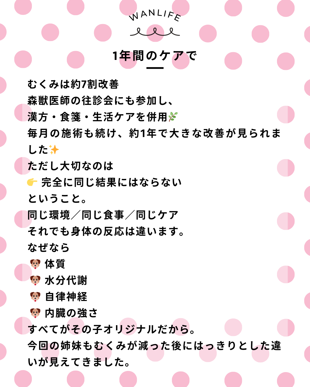 わんわん整体WanLife｜愛知・岐阜の犬の整体・メディセル筋膜リリース・歩けるくん・オベロンアニマルスキャン・ネオヒーラー・温灸・食事療法｜