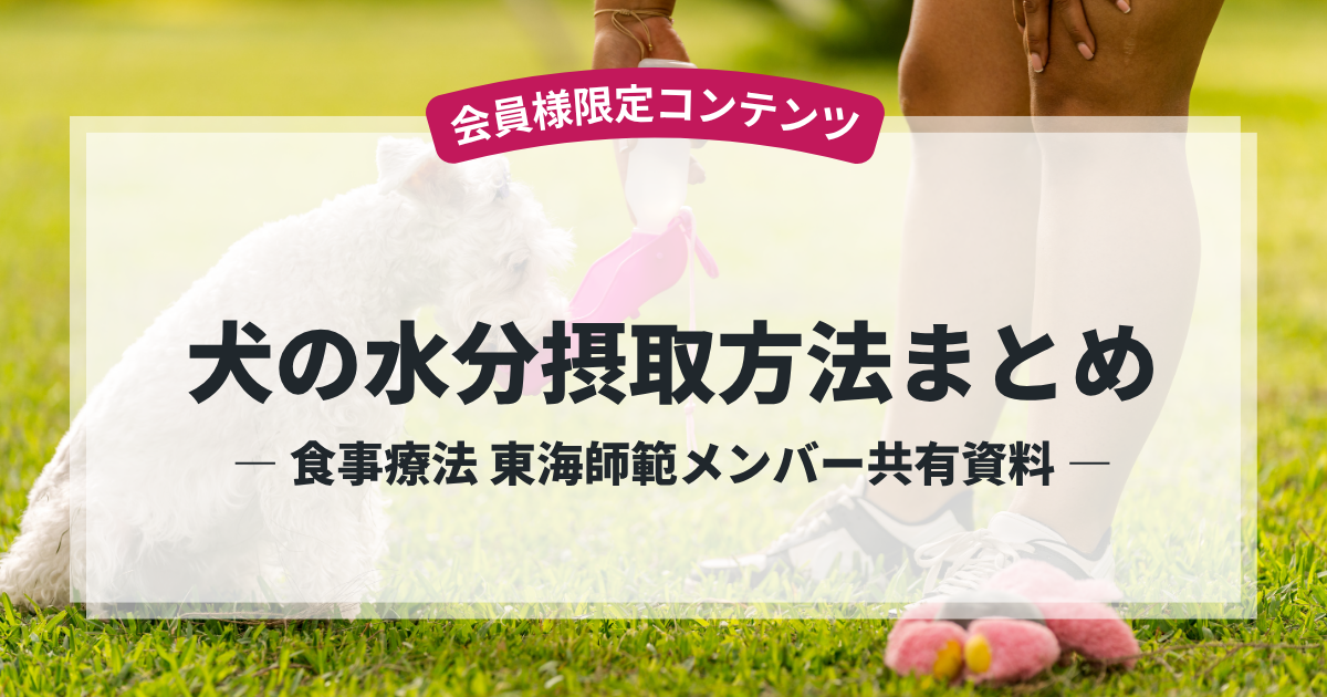 わんわん整体WanLife｜愛知・岐阜の犬の整体・メディセル筋膜リリース・オベロンアニマルスキャン・ネオヒーラー・温灸・食事療法｜