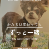 わんわん整体WanLife｜愛知・岐阜の犬の整体・メディセル筋膜リリース・歩けるくん・オベロンアニマルスキャン・ネオヒーラー・温灸・食事療法｜