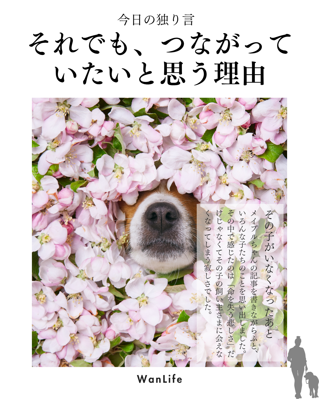 わんわん整体WanLife｜愛知・岐阜の犬の整体・メディセル筋膜リリース・オベロンアニマルスキャン・ネオヒーラー・温灸・食事療法｜