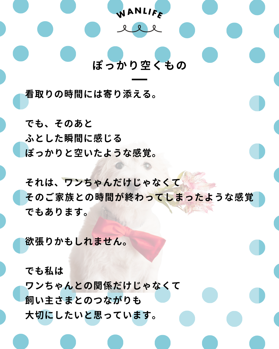 わんわん整体WanLife｜愛知・岐阜の犬の整体・メディセル筋膜リリース・オベロンアニマルスキャン・ネオヒーラー・温灸・食事療法｜