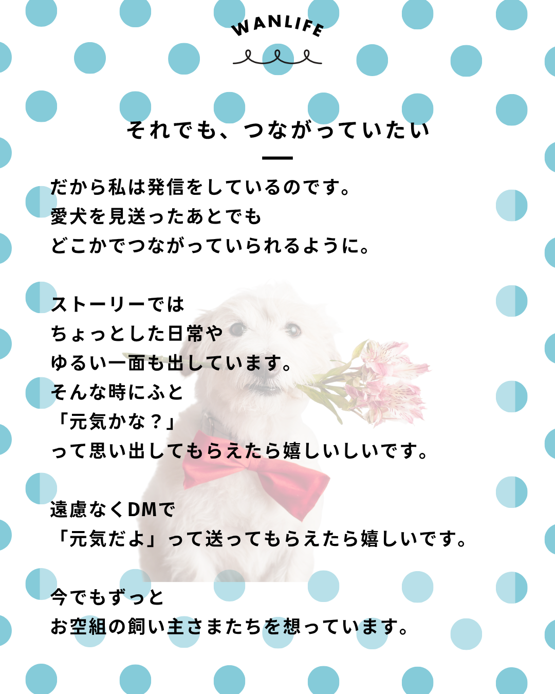 わんわん整体WanLife｜愛知・岐阜の犬の整体・メディセル筋膜リリース・オベロンアニマルスキャン・ネオヒーラー・温灸・食事療法｜