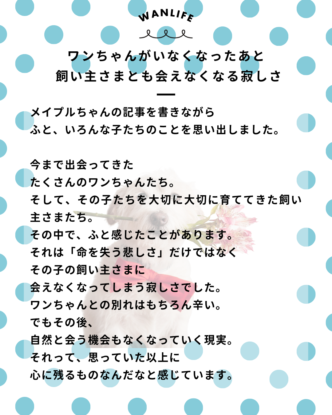 わんわん整体WanLife｜愛知・岐阜の犬の整体・メディセル筋膜リリース・オベロンアニマルスキャン・ネオヒーラー・温灸・食事療法｜