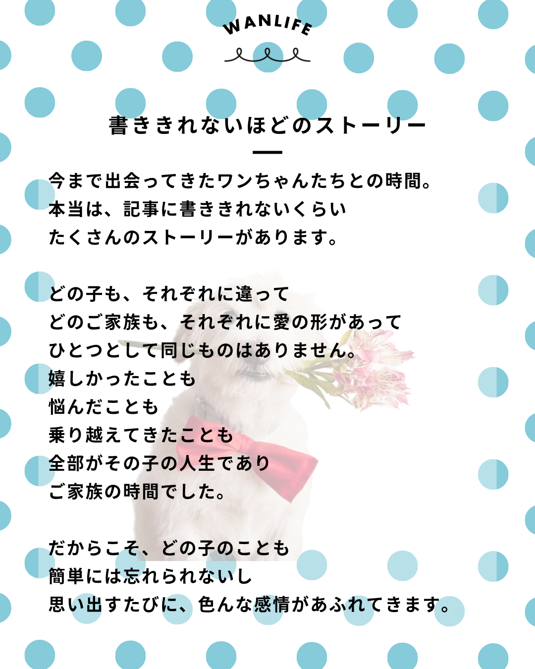 わんわん整体WanLife｜愛知・岐阜の犬の整体・メディセル筋膜リリース・オベロンアニマルスキャン・ネオヒーラー・温灸・食事療法｜