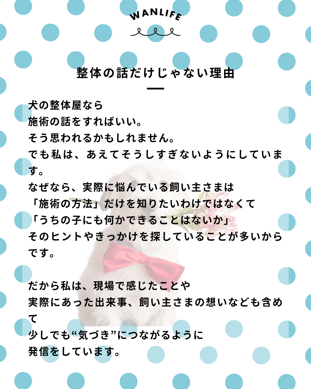 わんわん整体WanLife｜愛知・岐阜の犬の整体・メディセル筋膜リリース・オベロンアニマルスキャン・ネオヒーラー・温灸・食事療法｜