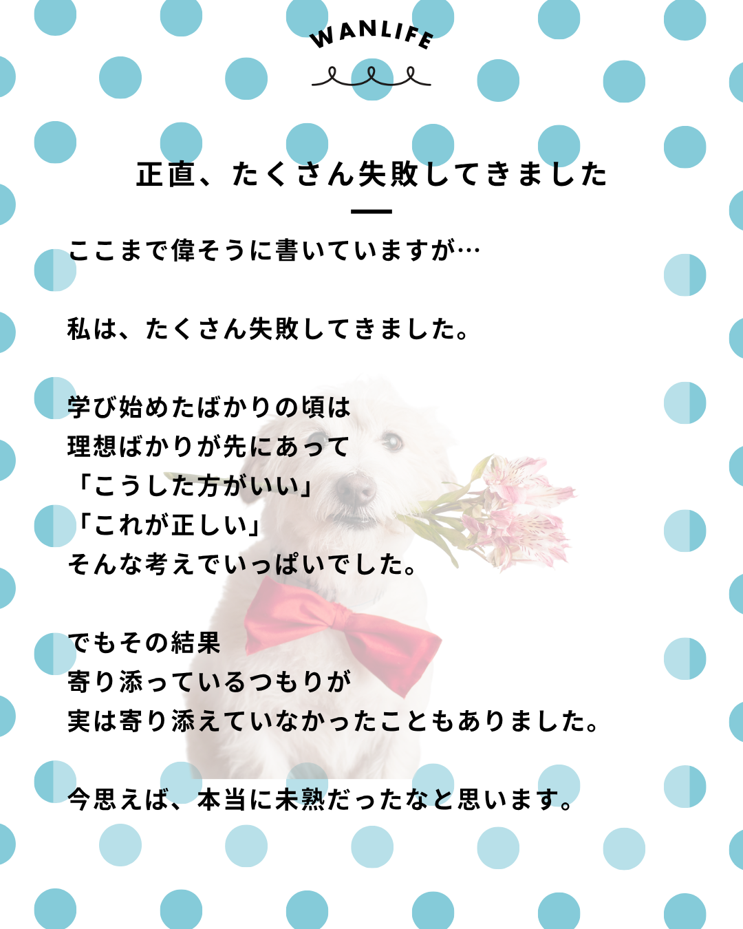 わんわん整体WanLife｜愛知・岐阜の犬の整体・メディセル筋膜リリース・オベロンアニマルスキャン・ネオヒーラー・温灸・食事療法｜