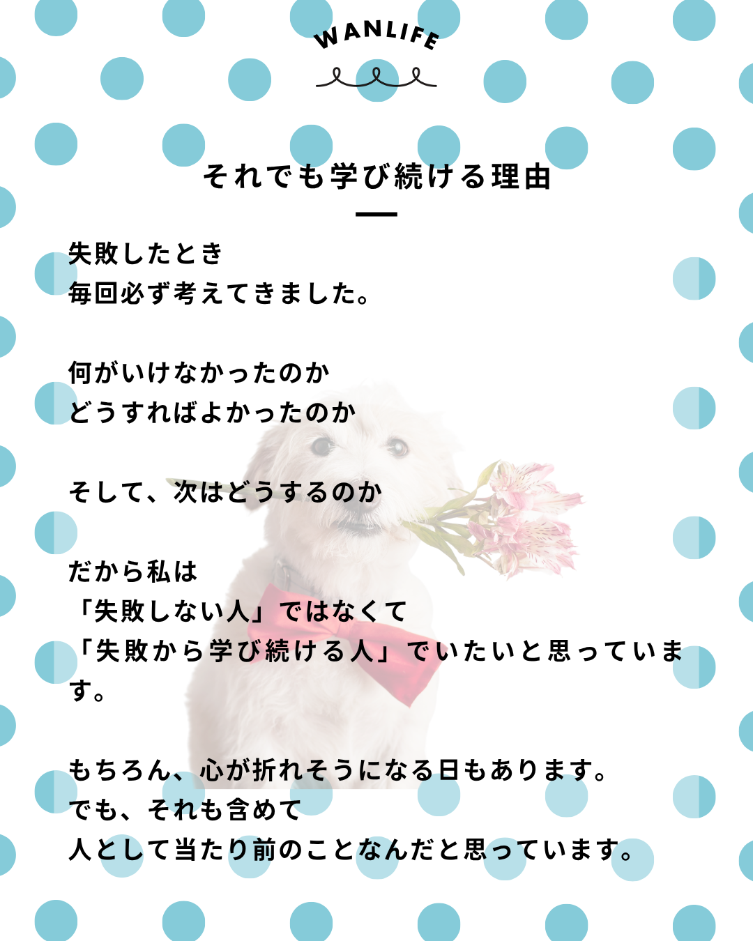 わんわん整体WanLife｜愛知・岐阜の犬の整体・メディセル筋膜リリース・オベロンアニマルスキャン・ネオヒーラー・温灸・食事療法｜