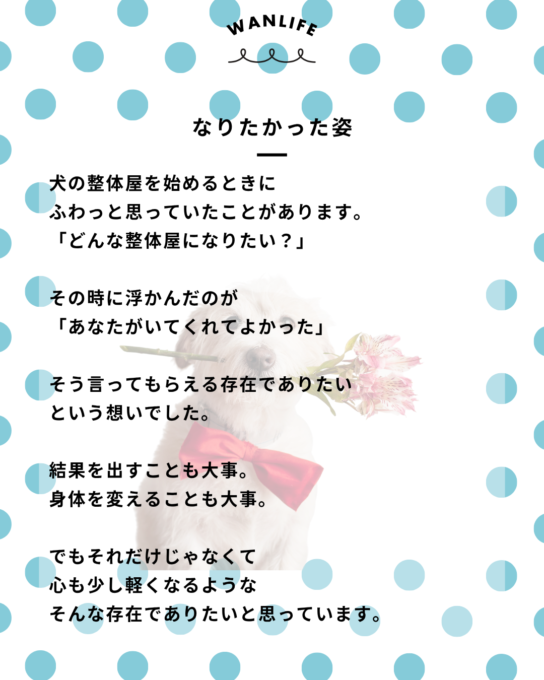 わんわん整体WanLife｜愛知・岐阜の犬の整体・メディセル筋膜リリース・オベロンアニマルスキャン・ネオヒーラー・温灸・食事療法｜