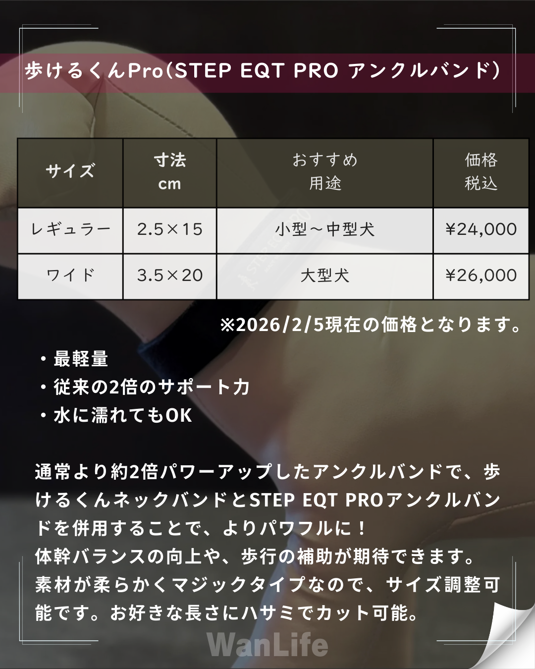 わんわん整体WanLife｜愛知・岐阜の犬の整体・メディセル筋膜リリース・オベロンアニマルスキャン・歩けるくん・ネオヒーラー・温灸・食事療法｜