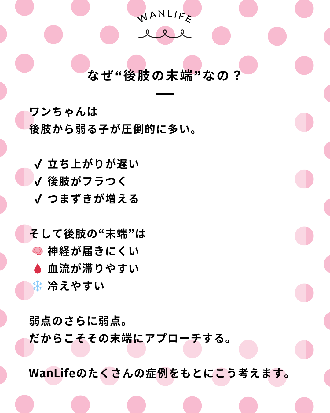 わんわん整体WanLife｜愛知・岐阜の犬の整体・メディセル筋膜リリース・オベロンアニマルスキャン・歩けるくん・ネオヒーラー・温灸・食事療法｜