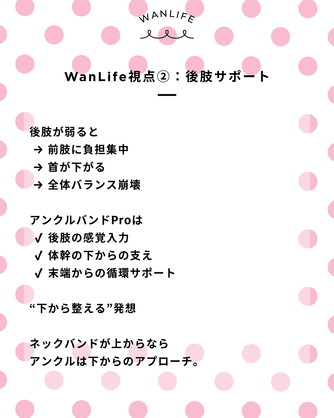 わんわん整体WanLife｜愛知・岐阜の犬の整体・メディセル筋膜リリース・オベロンアニマルスキャン・歩けるくん・ネオヒーラー・温灸・食事療法｜