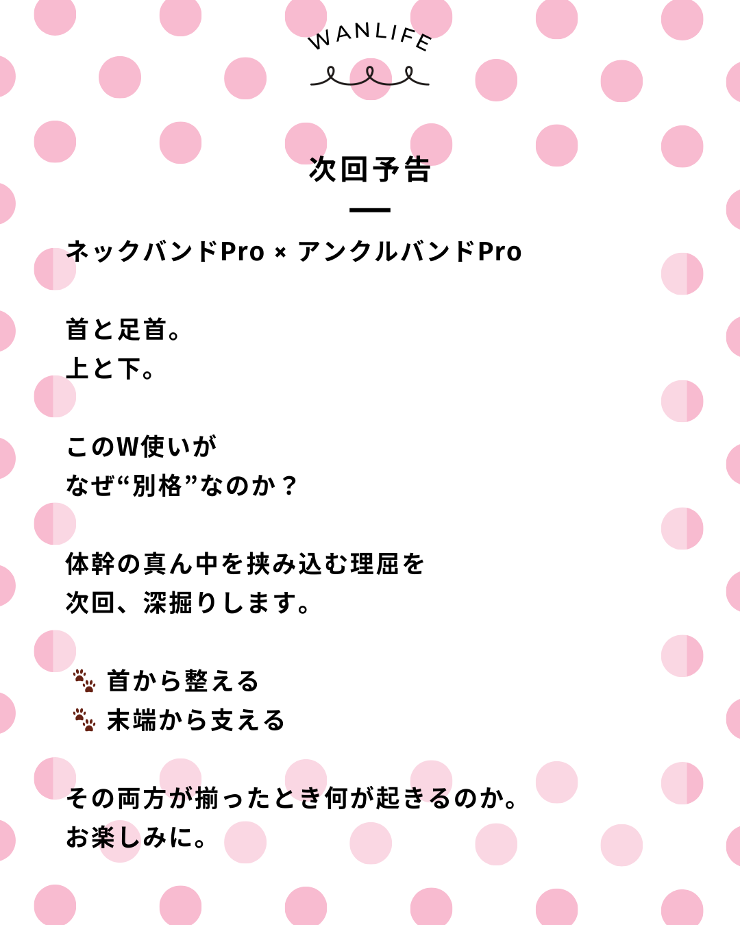 わんわん整体WanLife｜愛知・岐阜の犬の整体・メディセル筋膜リリース・オベロンアニマルスキャン・歩けるくん・ネオヒーラー・温灸・食事療法｜