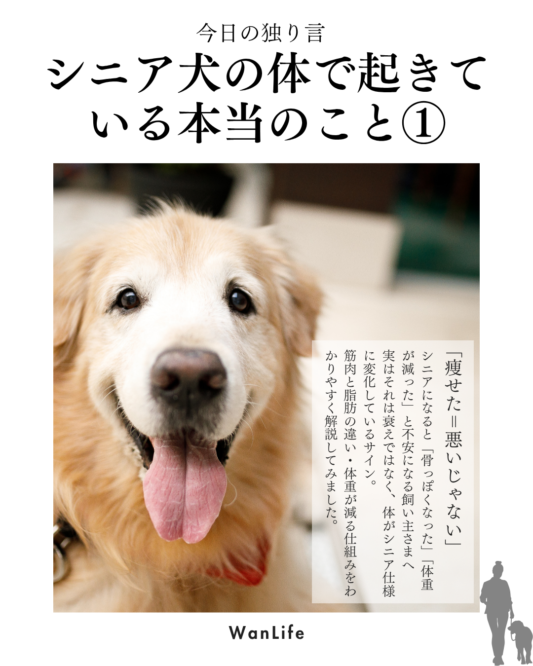 わんわん整体WanLife｜愛知・岐阜の犬の整体・メディセル筋膜リリース・オベロンアニマルスキャン・ネオヒーラー・温灸・食事療法｜