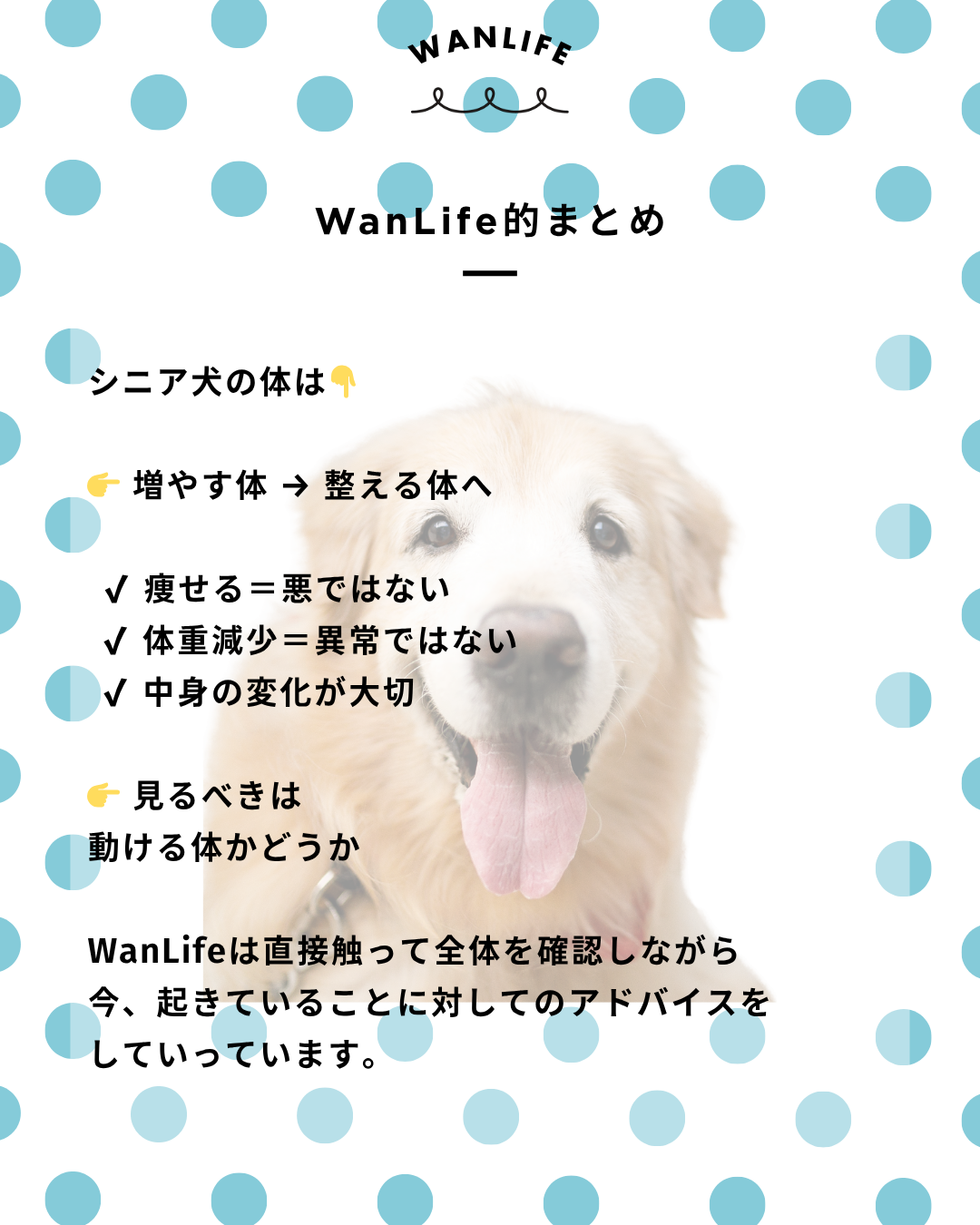 わんわん整体WanLife|愛知・岐阜の犬の整体・メディセル筋膜リリース・オベロンアニマルスキャン・ネオヒーラー・温灸・食事療法|